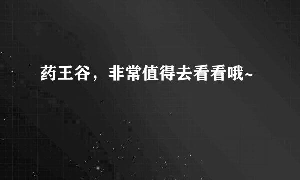 药王谷，非常值得去看看哦~