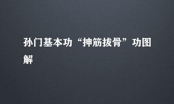 孙门基本功“抻筋拔骨”功图解