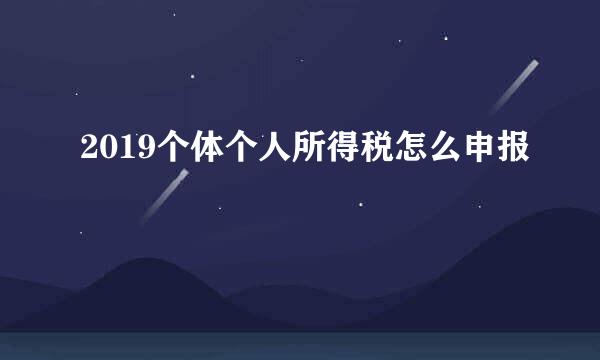 2019个体个人所得税怎么申报
