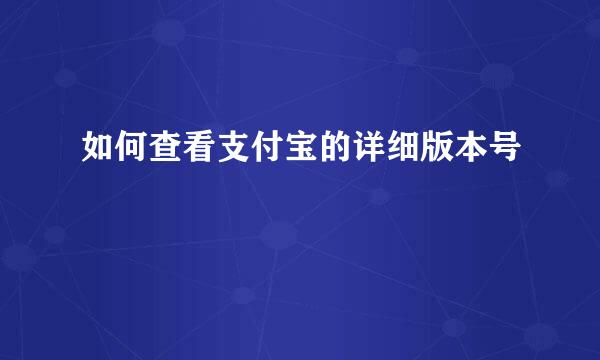 如何查看支付宝的详细版本号