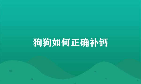 狗狗如何正确补钙