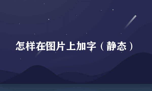 怎样在图片上加字（静态）