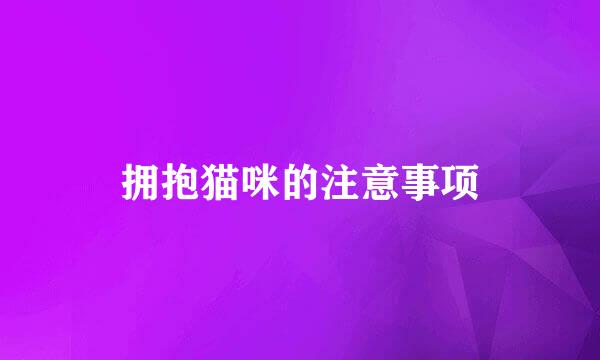 拥抱猫咪的注意事项