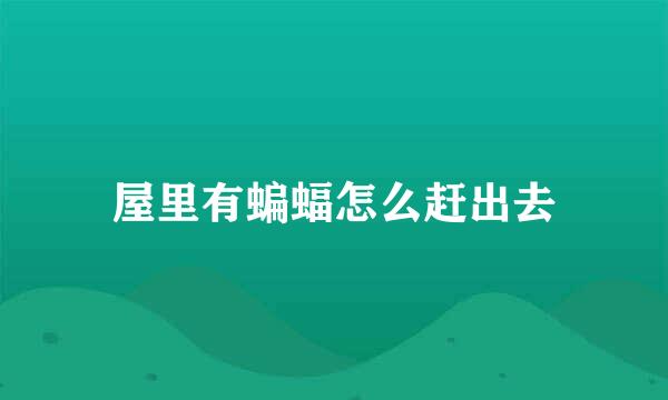 屋里有蝙蝠怎么赶出去