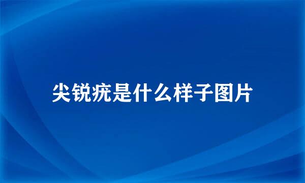 尖锐疣是什么样子图片