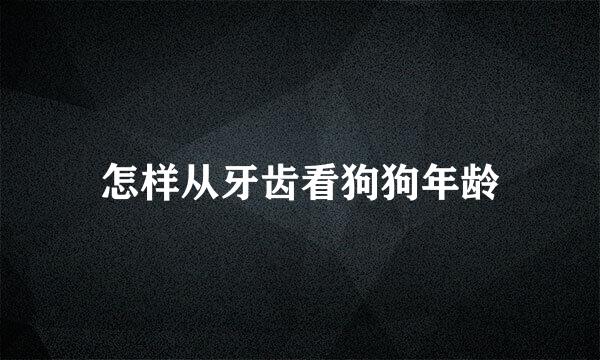 怎样从牙齿看狗狗年龄