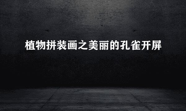 植物拼装画之美丽的孔雀开屏