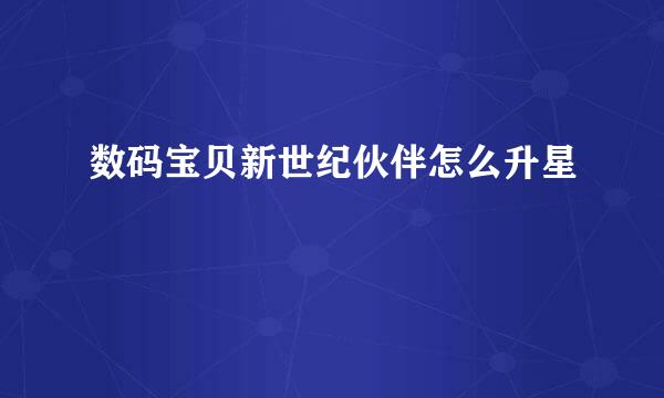 数码宝贝新世纪伙伴怎么升星