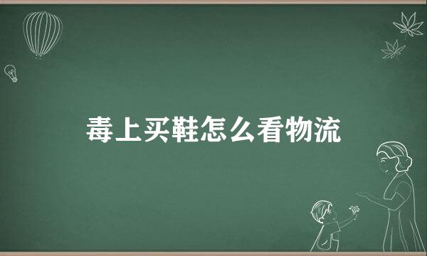 毒上买鞋怎么看物流