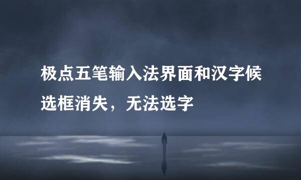 极点五笔输入法界面和汉字候选框消失，无法选字
