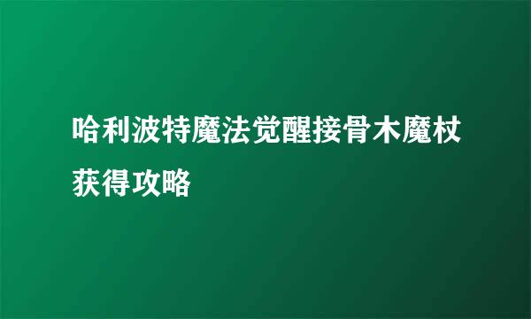 哈利波特魔法觉醒接骨木魔杖获得攻略