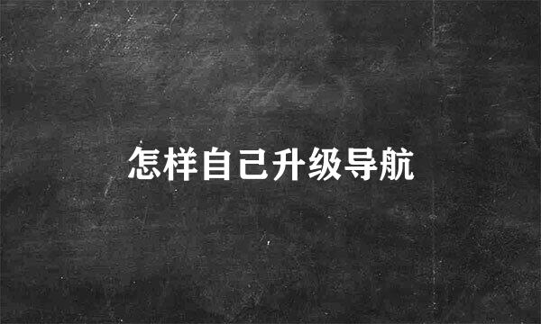 怎样自己升级导航