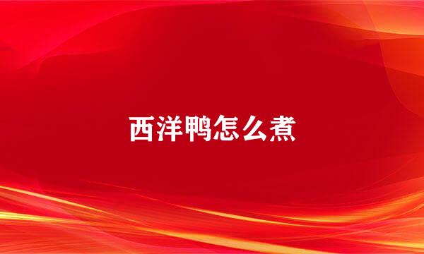 西洋鸭怎么煮