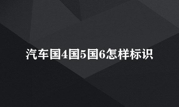 汽车国4国5国6怎样标识