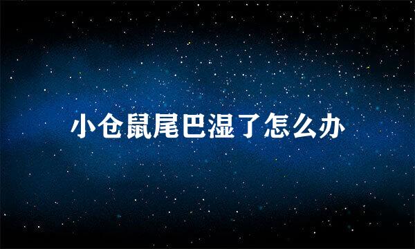 小仓鼠尾巴湿了怎么办