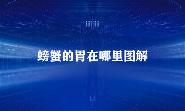 螃蟹的胃在哪里图解