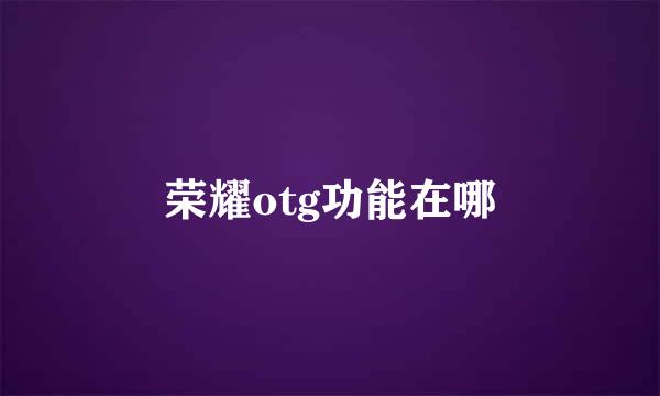 荣耀otg功能在哪