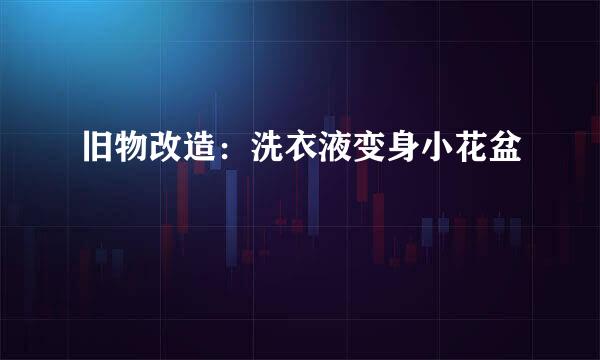旧物改造：洗衣液变身小花盆