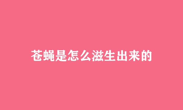 苍蝇是怎么滋生出来的