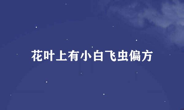 花叶上有小白飞虫偏方