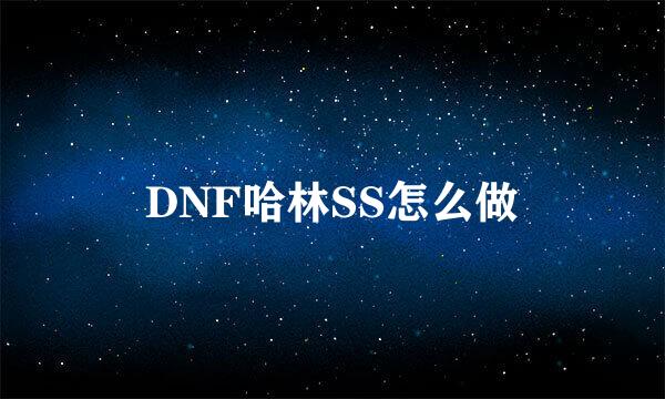 DNF哈林SS怎么做