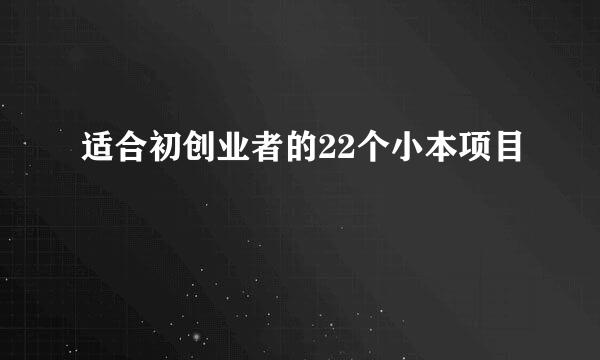 适合初创业者的22个小本项目