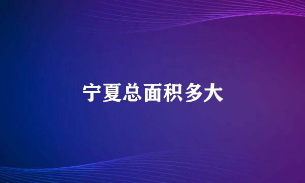 宁夏总面积多大