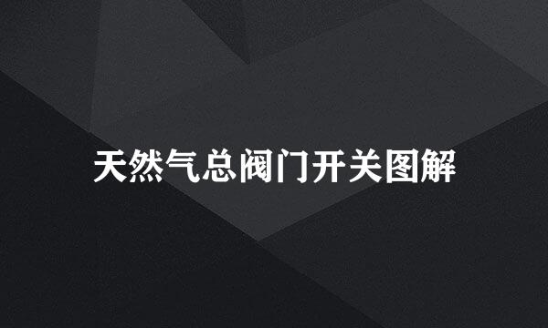 天然气总阀门开关图解