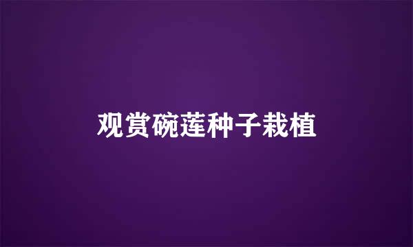 观赏碗莲种子栽植
