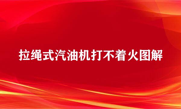 拉绳式汽油机打不着火图解