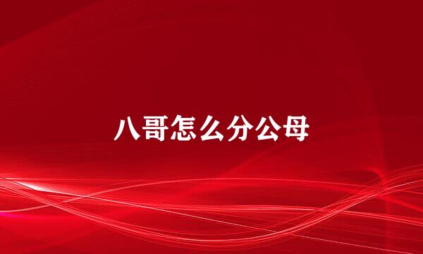八哥怎么分公母