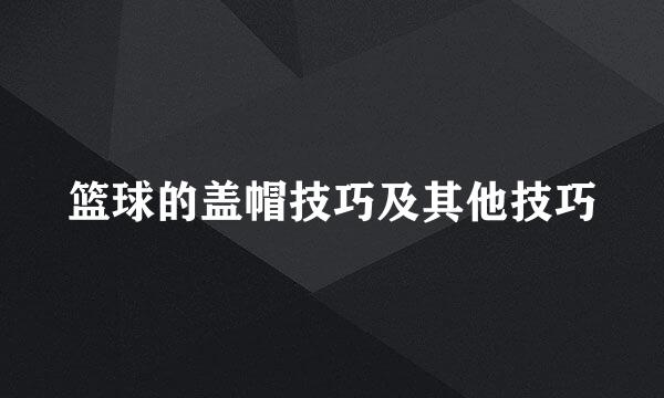 篮球的盖帽技巧及其他技巧