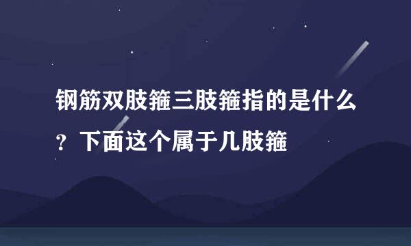 钢筋双肢箍三肢箍指的是什么？下面这个属于几肢箍