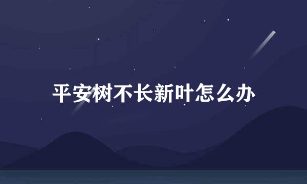 平安树不长新叶怎么办