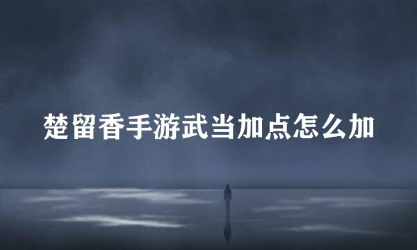 楚留香手游武当加点怎么加