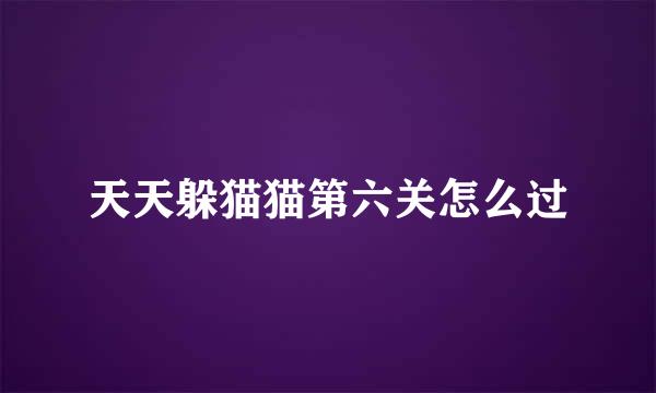 天天躲猫猫第六关怎么过