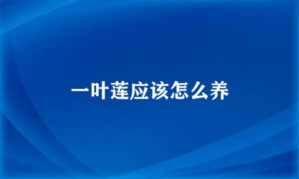 一叶莲应该怎么养