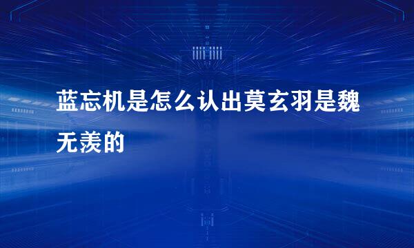 蓝忘机是怎么认出莫玄羽是魏无羡的