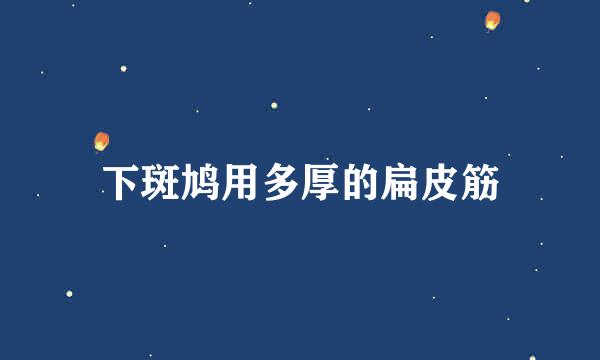 下斑鸠用多厚的扁皮筋