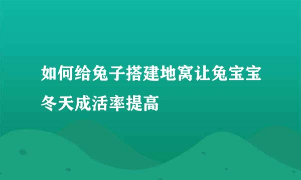 如何给兔子搭建地窝让兔宝宝冬天成活率提高