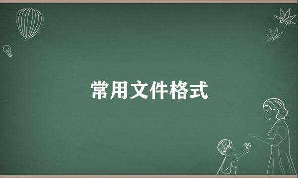 常用文件格式