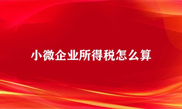 小微企业所得税怎么算