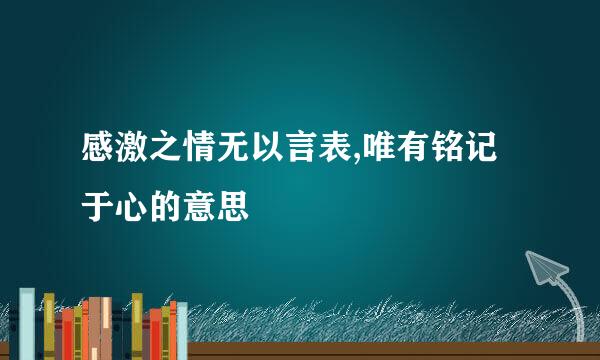 感激之情无以言表,唯有铭记于心的意思