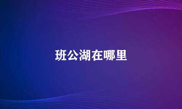 班公湖在哪里
