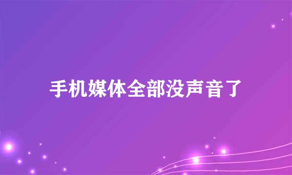 手机媒体全部没声音了