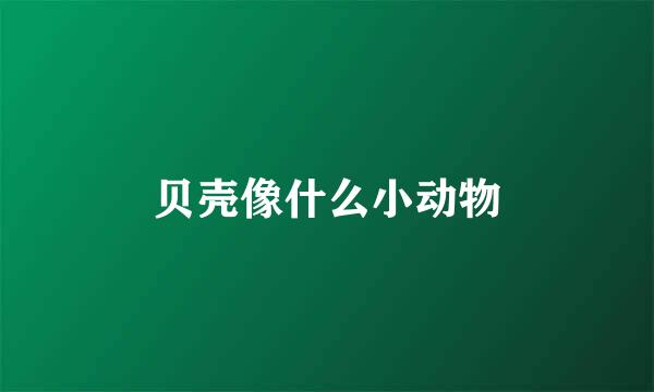 贝壳像什么小动物