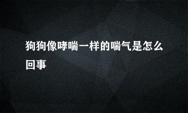 狗狗像哮喘一样的喘气是怎么回事