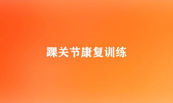踝关节康复训练