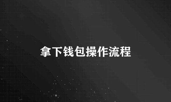拿下钱包操作流程