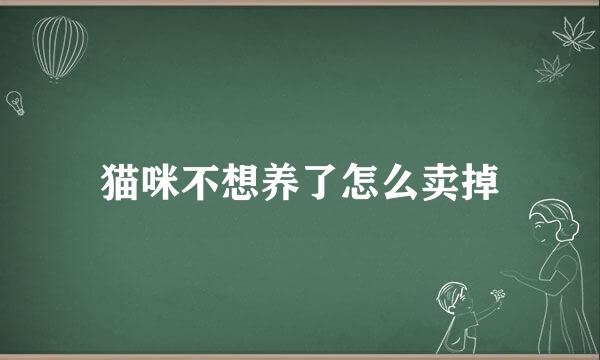 猫咪不想养了怎么卖掉